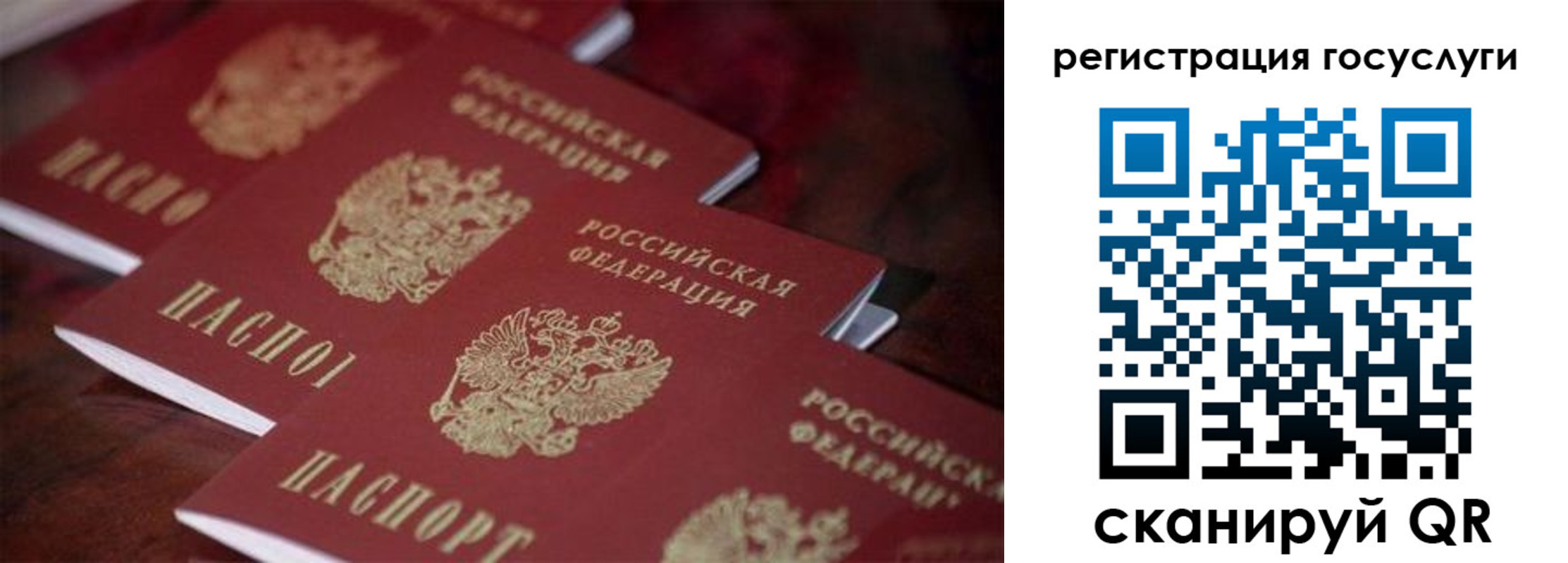 где прописаться в Ногинске